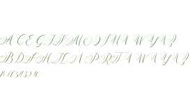 AURA LUXESS Calligraphy