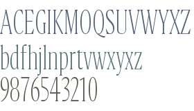 Flecha Bronzea Test M ExLight