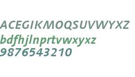 Linotype Syntax W02 Bold Italic