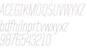 United Italic Cond Thin