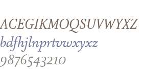 AtmaSerifWeb W03 BookItalic