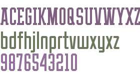 THE ATHLETIC FONT (DEMO VERSION)