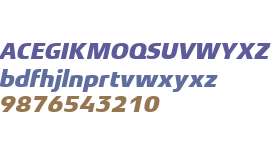 Xenois Sans W01 Heavy Italic