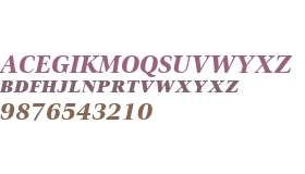 Civita W01SC ExtraBold Italic