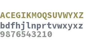 Office Code Pro Bold