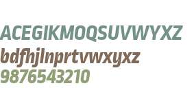 Ropa Sans W01 ExtraBold Italic