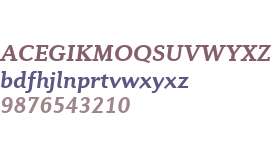 Diverda Serif W04 Bold Italic