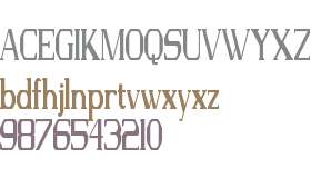 FS Serif Condensed Regular