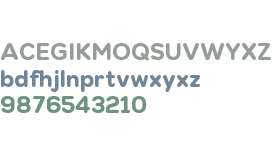 Nexa Round_Trial Heavy