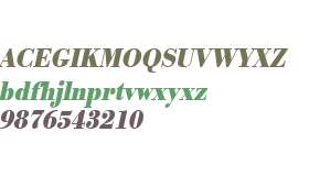 URW Bodoni W01 Bold XNarrow Obl