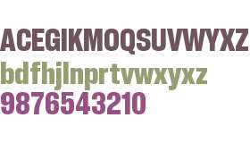 PP Neue Corp Narrow Ultrabold