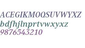 Generis Serif W04 Bold Italic