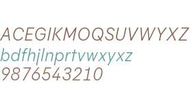 Flink Neue Cnd Test Book