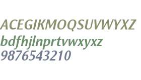 Nat Grotesk W00 Bold Italic