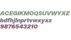 Trial-Resist Display Black Oblique