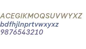 Flink Neue Text Cnd Test Medium