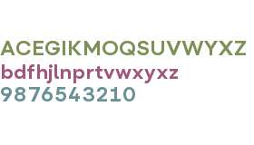Flink Neue Text Test