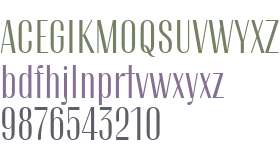 TT Knickerbockers Trial Grotesk