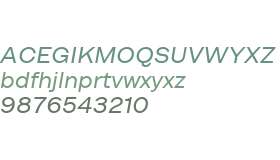 Figure Test Extended