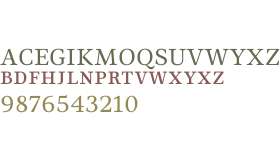 Ninfa Serif W01SC Regular