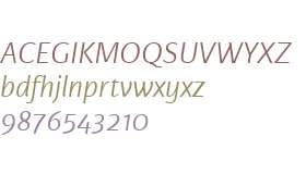 Karmina Sans W01 Light Italic