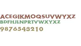 Metra Serif W01 Bold Cap