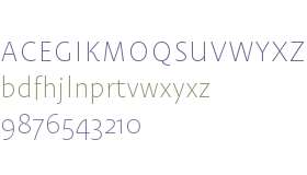 Test_Carolineale Thin