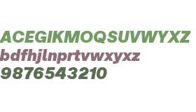 Micrograph Trial Black Italic