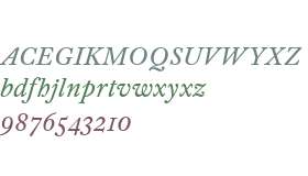 807e0035768cd655 - subset of William Text Pro Italic