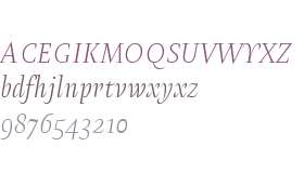 Test_Amster Thin Italic