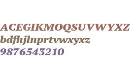 PT Serif Pro ExtBlackItalicW08