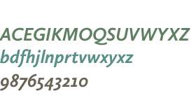 Calluna Sans W03 Bold Italic