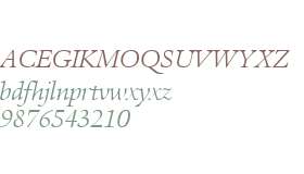 Aurelia W04 Light Italic