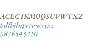 American Garamond W03 Bd It