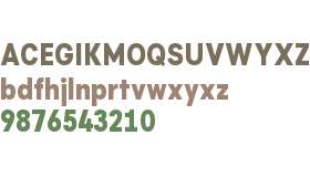 Flink Neue Cmp Test XBold