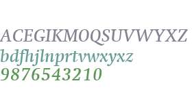 Swift W01 Medium Italic