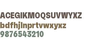 RB Faktum Neue Condensed Test ExBold