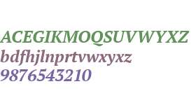 PT Serif Bold Italic V2
