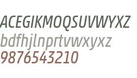 Akko W04 Condensed Italic