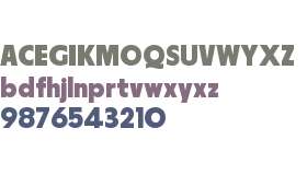 Parafina Trial Black S