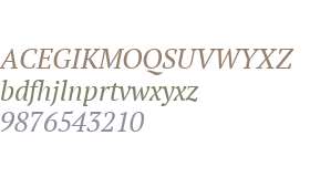 PT Serif W01 Italic