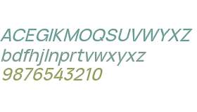 ID Grotesk Trial Medium Italic