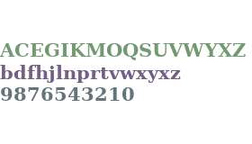 DejaVu Serif Bold V2