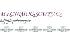 World Discovery One PERSONAL