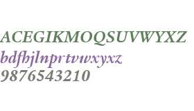 ITC Legacy Serif W04 Bd Italic