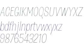 D Sert W01 Thin Italic