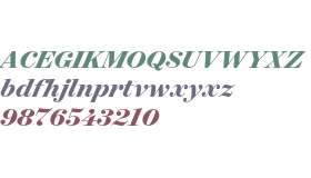 Surveyor Display Bold Italic