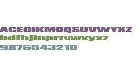 LK_BULLTOZ 06
