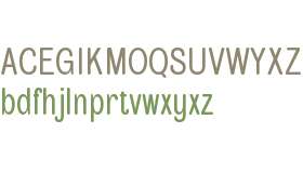 Meditera Rounded Demo