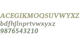 Diverda Serif Com Bold Italic